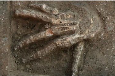 У Єгипті знайшли яму з відрубаними руками: є результатом моторошного ритуалу 