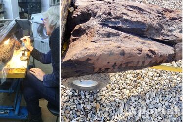 Ученые нашли в Великобритании старейший фрагмент деревянного бревна со следами резьбы