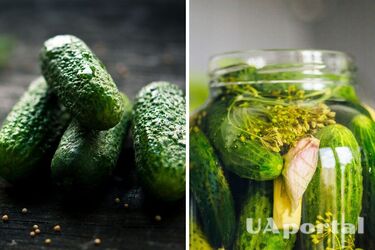 Как законсервировать огурцы на зиму, чтобы были хрустящие: беспроигрышный рецепт