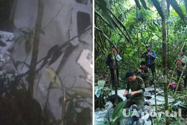 У Колумбії врятували чотирьох дітей, які пережили авіакатастрофу і більше 40 днів жили в джунглях Амазонки: дивовижна історія (фото)