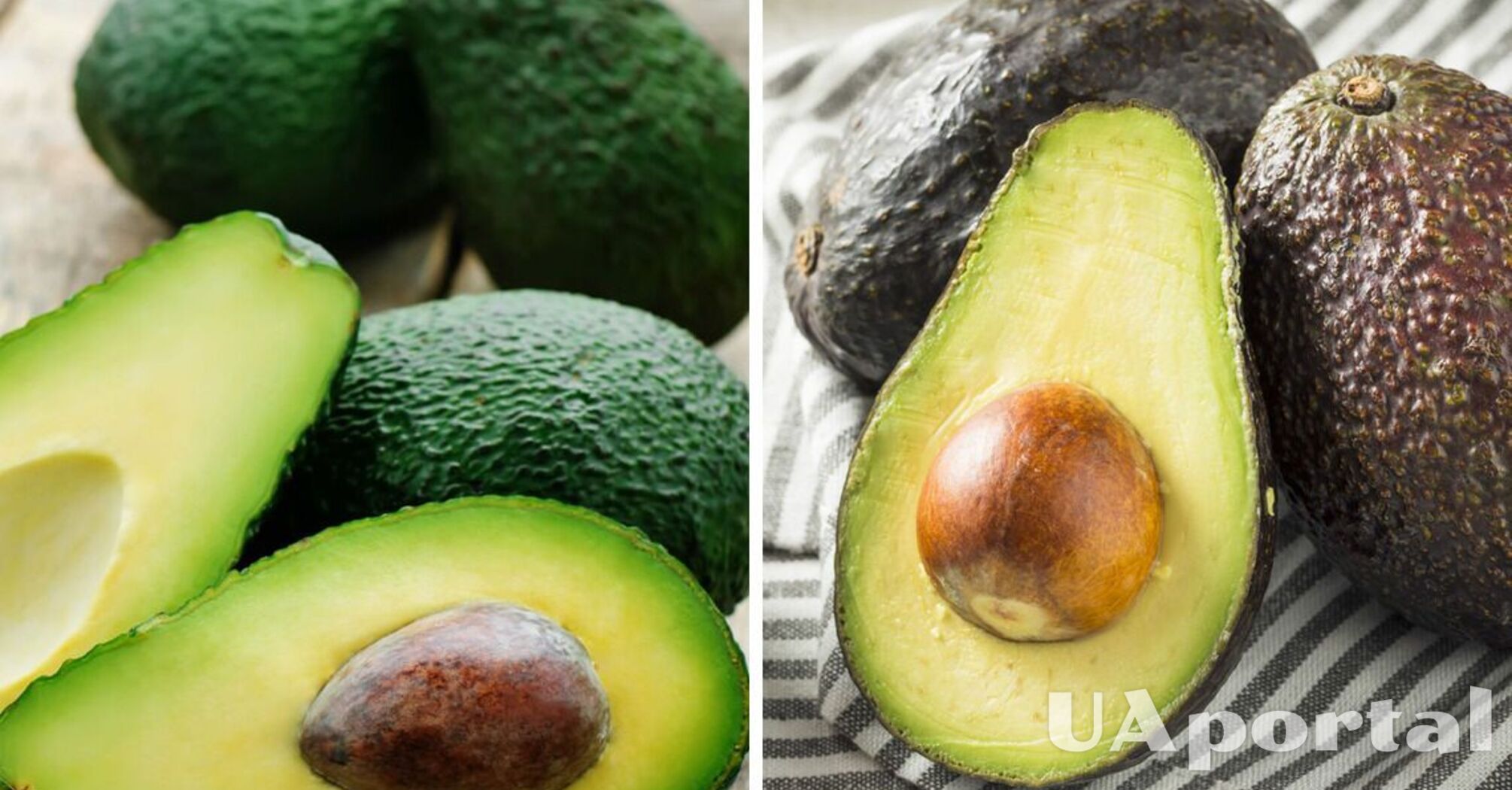 Что делать, чтобы авокадо быстрее созрел