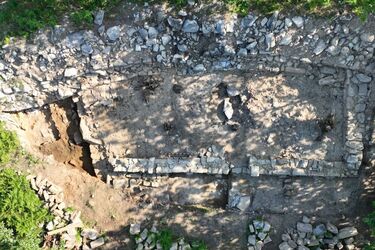 В Іспанії знайшли старовинний кам'яний пеніс, що мав 'насильницьку мету' (фото)