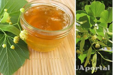 Как сделать липовое варенье