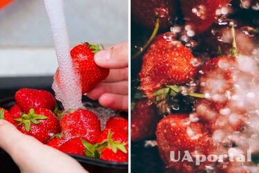 Зачем погружать клубнику в соленую воду
