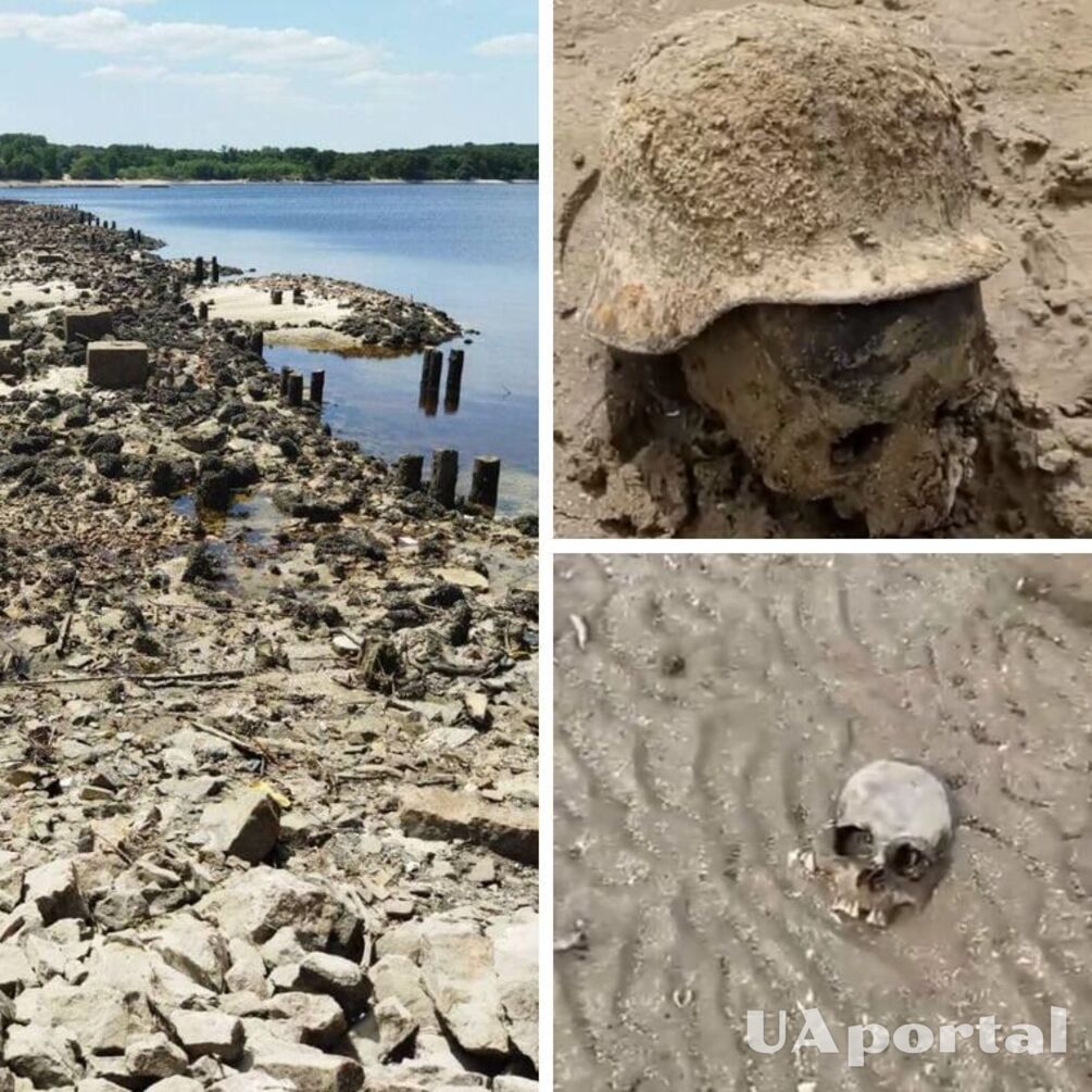 на берегах дніпра