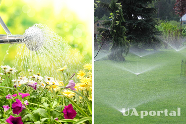 Как защитить растения в саду от жары: топ-4 действенные методы