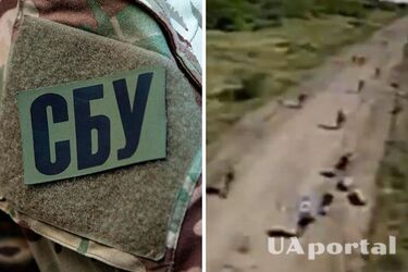 Более 150 оккупантов убитыми и ранеными: в СБУ показали уничтожение врага дронами (видео)