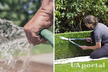Experienced gardeners told us what not to do in June
