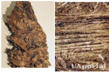 Спи спокойно: почему древние скандинавы использовали перины в погребальных ритуалах