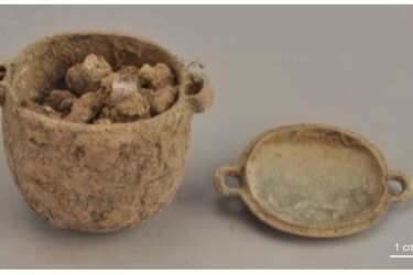 В Китае нашли крем для лица возрастом 2700 лет: принадлежал мужчине-аристократу