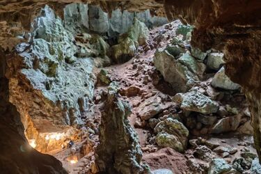 Найдавніша дата існування Homo sapiens: у печері в Лаосі знайшли людську кістку віком 86 000 років