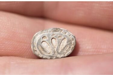 В Израиле нашли редкий амулет возрастом 3000 лет с изображением скарабея и кобры