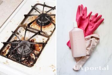 Как очистить плиту от жира – как и чем мыть плиту и решетки из газовой плиты