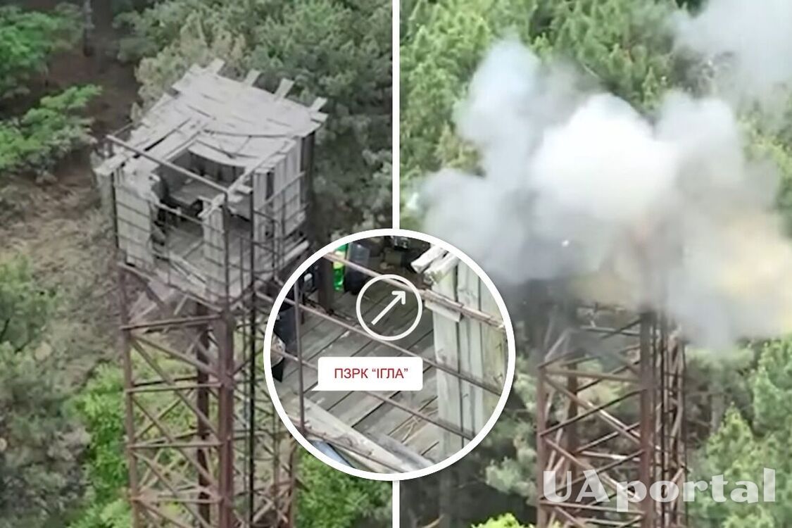 Ukraine's Special Forces fighters destroyed 'Igla' MANPADS together with occupants using FPV drone (video)