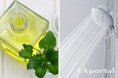 Горячий душ и эфирное масло мяты: лайфхаки, которые помогут легче перенести жару