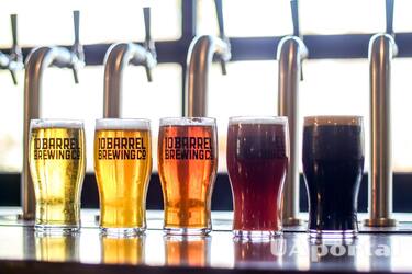 Пять лучших сортов пива: знатоки назвали лучшие хмельные напитки