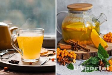 Целебный чай круглый год: как правильно запастись облепихой на зиму