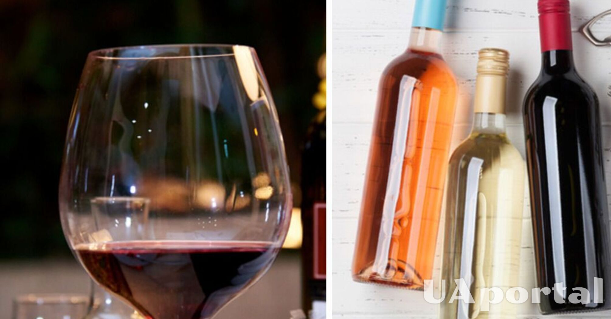 Как выбрать качественное вино: топ-6 советов