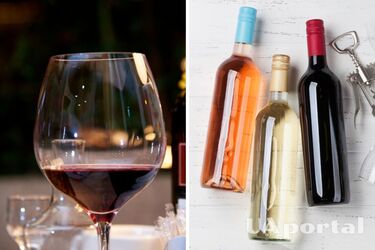 Как выбрать качественное вино: топ-6 советов