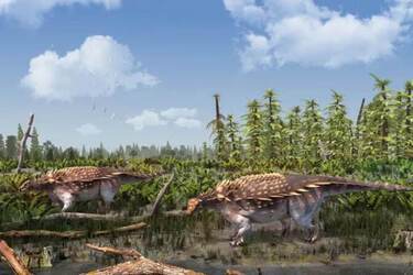На острове Уайт в проливе Ла-Манш найдены окаменевшие остатки ранее неизвестного вида панцирных динозавров Vectipelta barretti