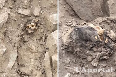 Археологи в Перу знайшли під купою сміття 3000-річну мумію (фото, відео)