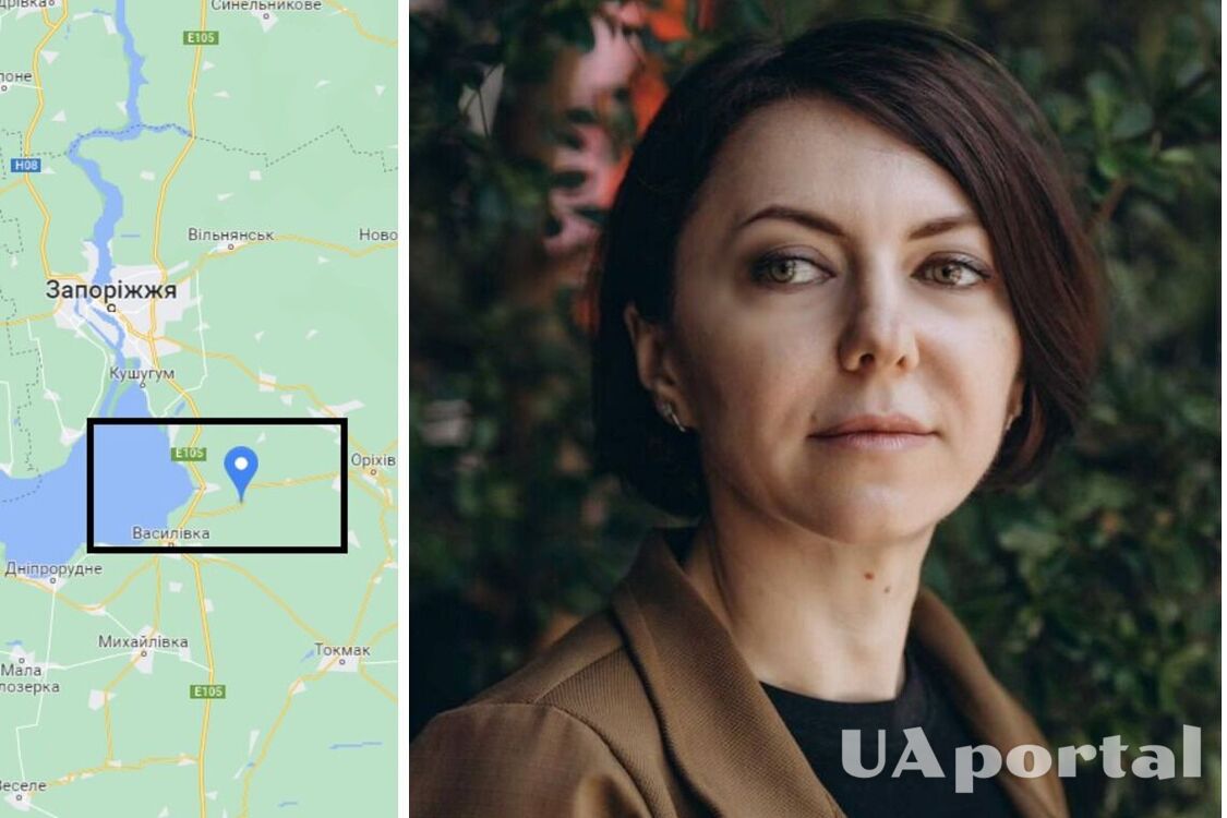 Defense Ministry confirms liberation of Pyatikhatky in Zaporizhzhia (frontline map)