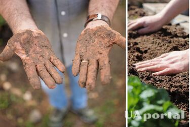 How to wash your hands after working in the garden: 3 effective substances