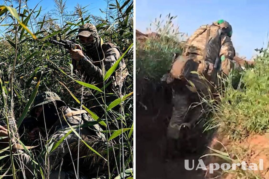 'Performing tasks and moving forward': attack aircraft demonstrate fighting near Bakhmut (video)