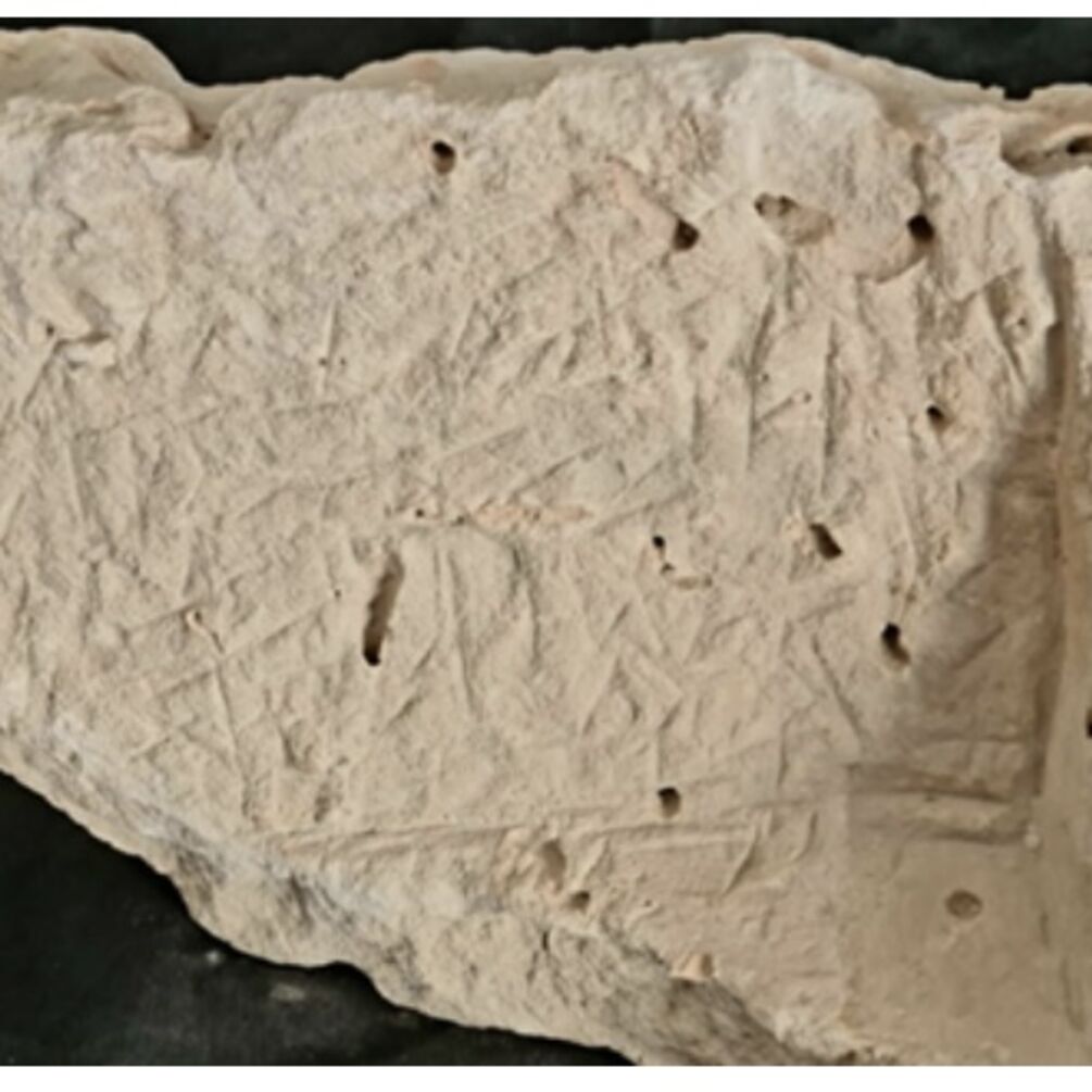 В Израиле нашли камень с проклятиями губернатору города возрастом 3500 лет