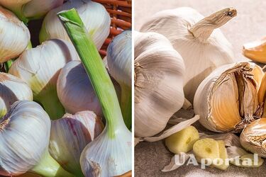 Housewives named the 3 best ways to pickle garlic for the winter