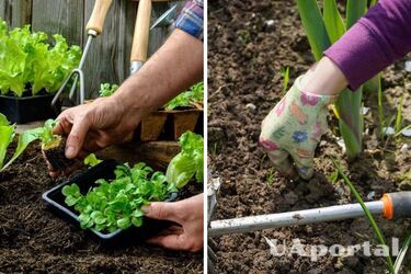 Будьте осторожны: смертельно опасные болезни, которые можно подхватить на огороде