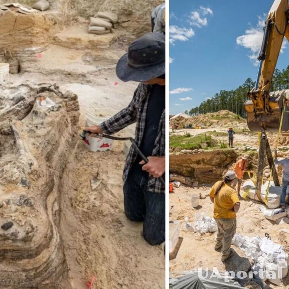 'Elephant cemetery' almost 6 million years old discovered in the US (photo)