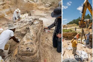 'Elephant cemetery' almost 6 million years old discovered in the US (photo)