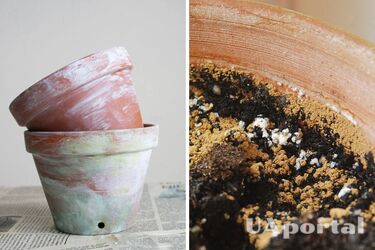 Откуда появляется белый налет на цветочных горшках и как его отмыть