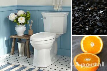 Як позбутися смороду в туалеті - саморобний дезодорант для туалету