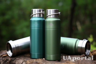 How to quickly clean and get rid of odors from a thermos flask: effective life hacks