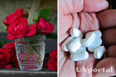 Three tips to keep cut roses fresh for a whole week