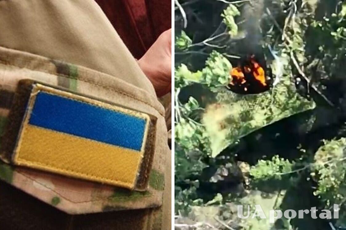 Stormtroopers destroyed occupants' personnel in a dugout near Bakhmut (video)