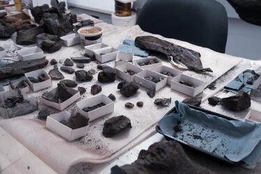 У Монголії знайшли найдавніший фалічний кулон, якому 42 тисяч років (фото)