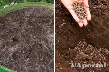 Как использовать куриный помет в качестве удобрения: пошаговая инструкция