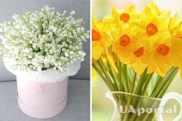 Leading to separation and attracting bad luck: five types of flowers that are better not to gift