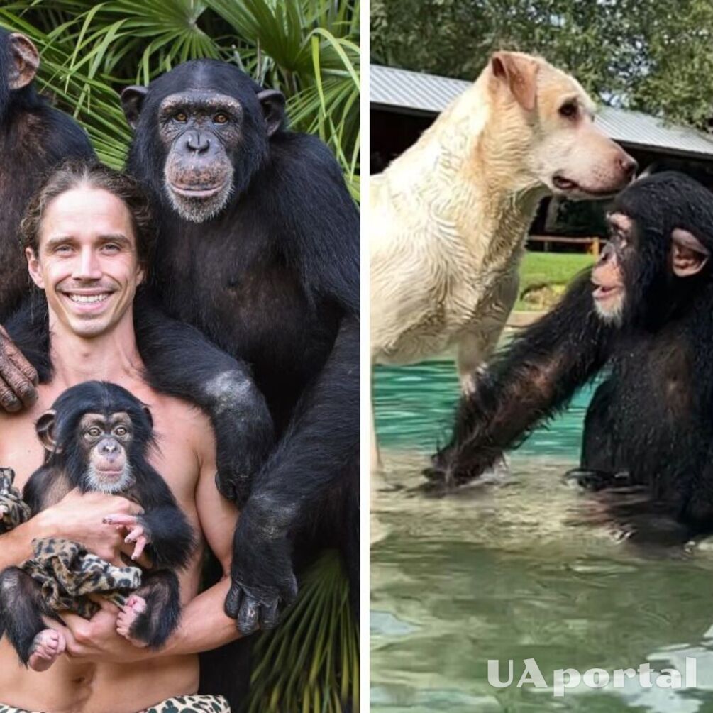 У сафарі-парку в США мавпи допомагають доглядальнику мити собаку (кумедне відео)