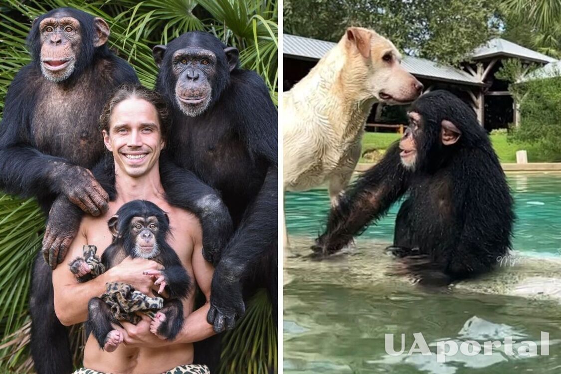 У сафарі-парку в США мавпи допомагають доглядальнику мити собаку (кумедне відео)