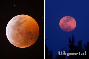 Когда и где смотреть Суперлуние в Украине