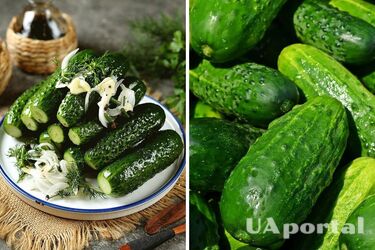 Why rub fresh cucumbers with salt