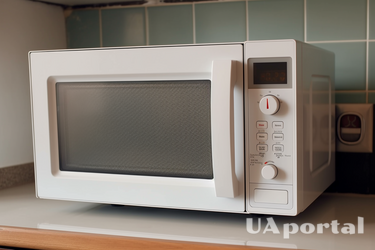 Pros and cons of microwave ovens: what you need to know before buying