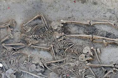 В Словакии нашли могилу со скелетами 38 человек возрастом 7000 лет, у которых отсутствовали черепа