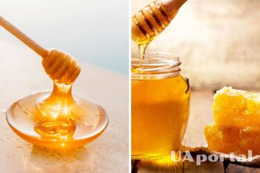 Освіжає дихання та знімає свербіж після укусів комах: 5 незвичних способів застосування меду 