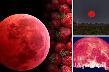 Клубничное полнолуние – это шанс выйти из кризиса: как привлечь в жизнь удачу 4 июня