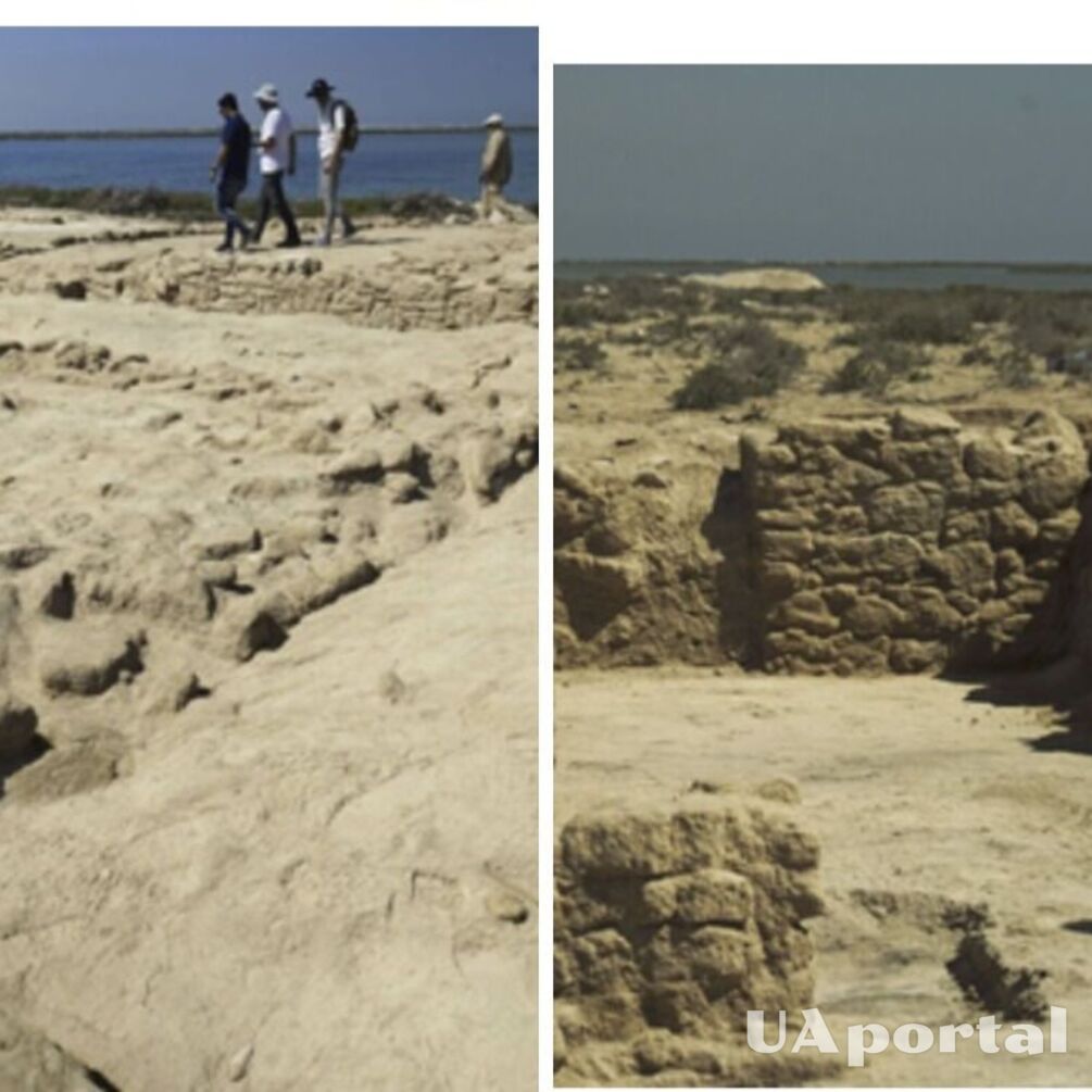 Археологи нашли в Персидском заливе древний город 6 века, где добывали жемчуг.